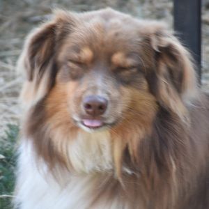 Meet your Posher, Emma